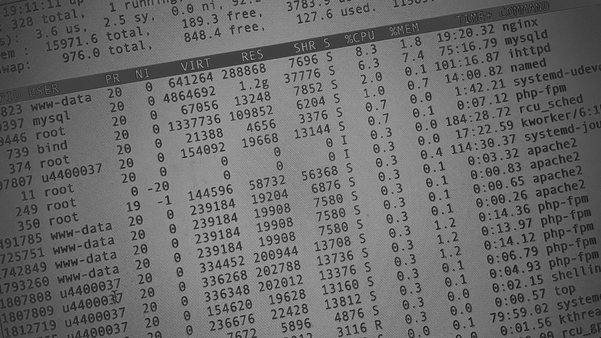 Настройка сервера в Уссурийске