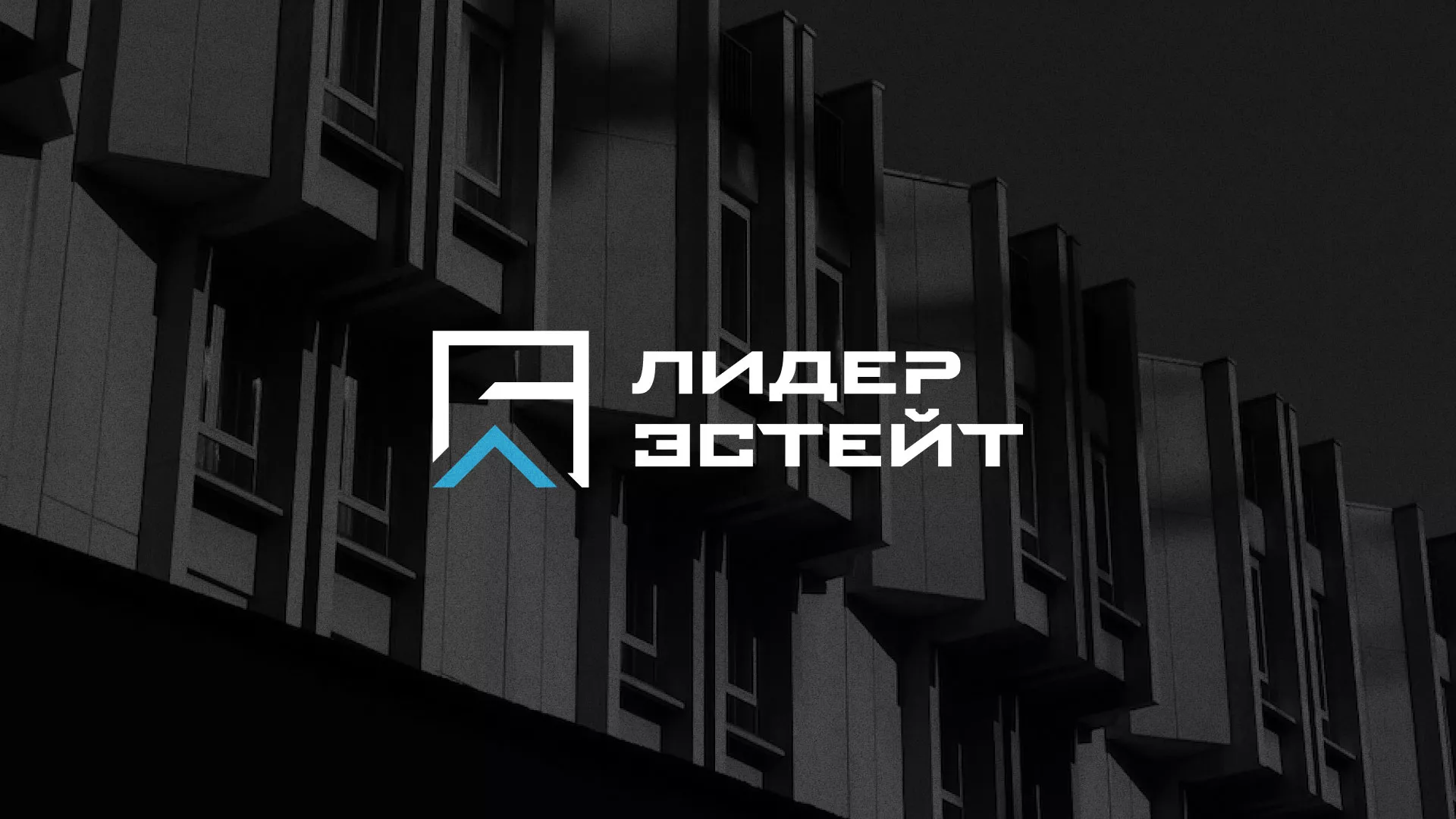 Разработка логотипа агентства недвижимости «Лидер Эстейт» в Уссурийске